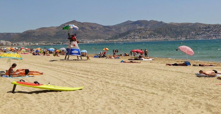playas-para-perros-girona-barcelona-y-alrededores.jpg